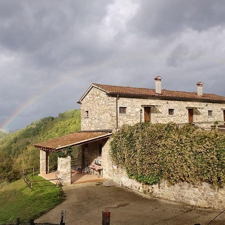 Le Chianine Dei Tognoli Villa Gragnola Exteriör bild