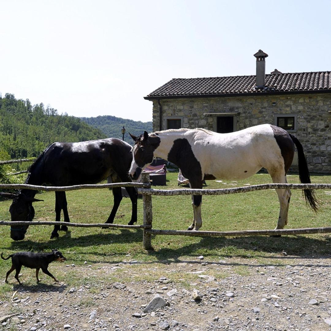 Le Chianine Dei Tognoli Villa Gragnola Exteriör bild