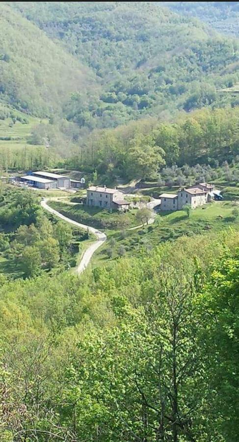 Le Chianine Dei Tognoli Villa Gragnola Exteriör bild